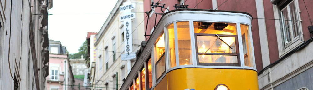 carola de berardinis