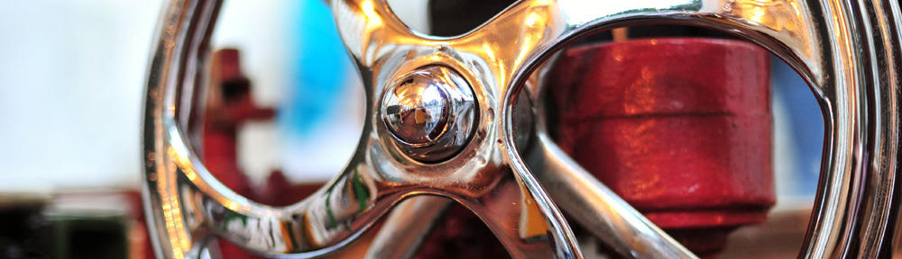 carola de berardinis